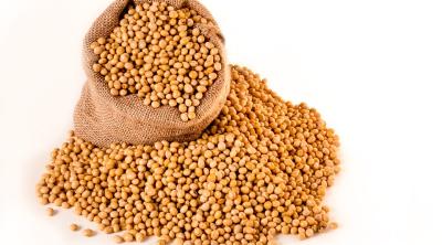 Soy beans